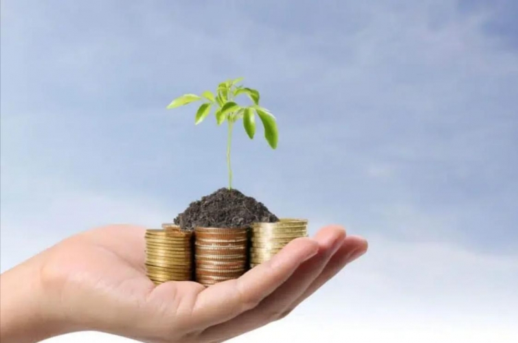 Dicas de como ter um comércio mais sustentável Dicas de como ter um comércio mais sustentável